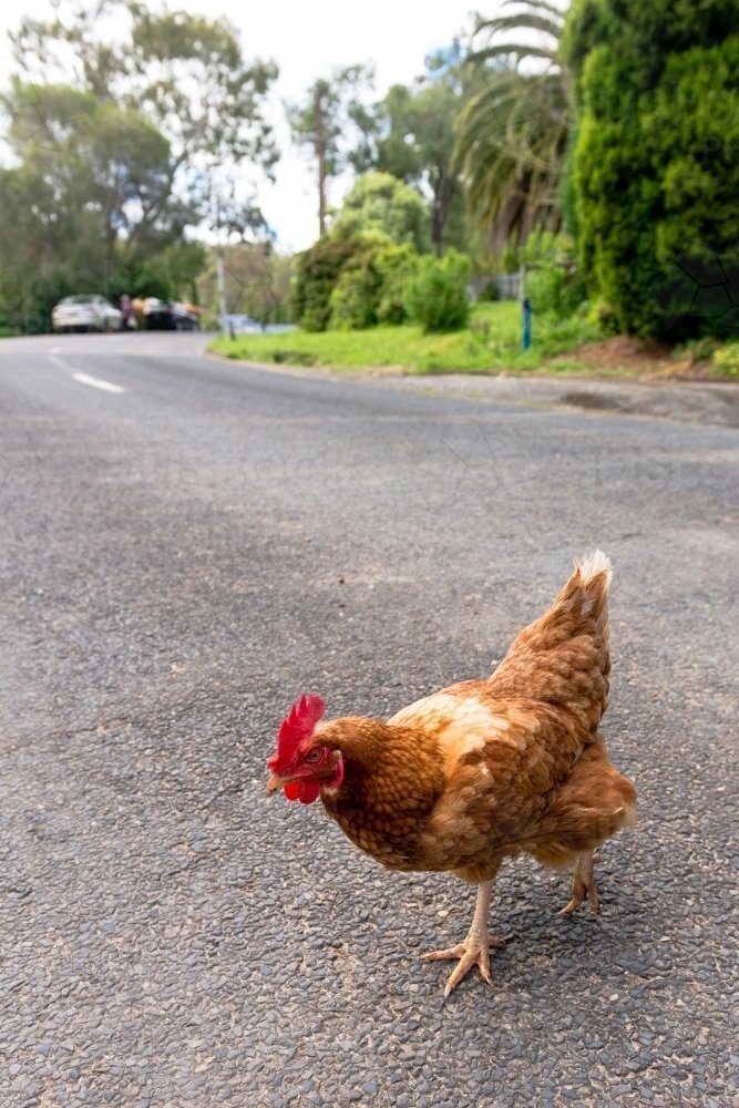 Il Nuovo Fenomeno di Gioco di Azzardo: Chicken Road in Italia a Italy