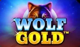 Introduction to spinboss casino online